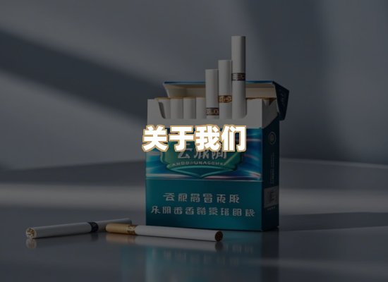 关于御龙烟网